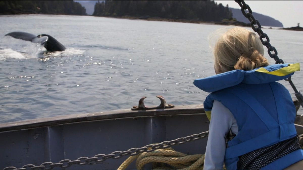 'Port Protection Alaska,' plus everyone with an AK hometown on their title card in 'The Bachelor' universe